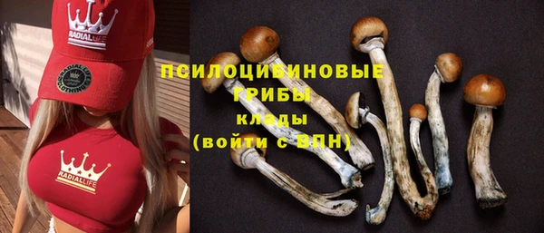 spice Алексеевка