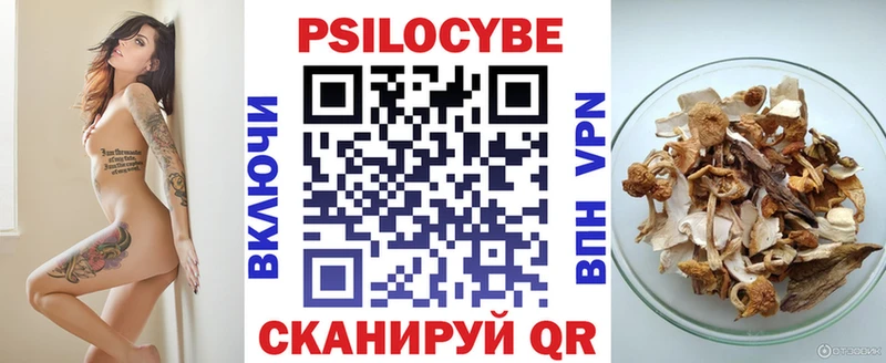 MEGA зеркало  Борзя  Псилоцибиновые грибы мухоморы 