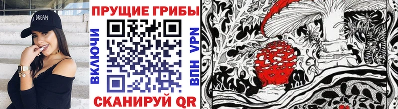 Псилоцибиновые грибы Cubensis Борзя