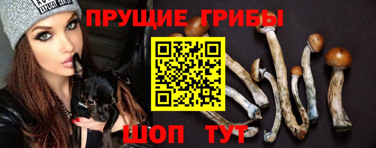 Псилоцибиновые грибы мицелий  Псилоцибиновые грибы прущие грибы  Вход с VPN  Борзя 