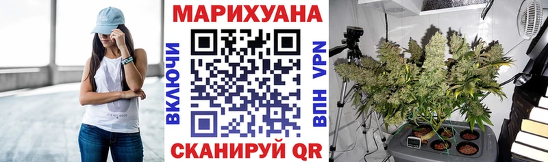 Каннабис сатива Борзя