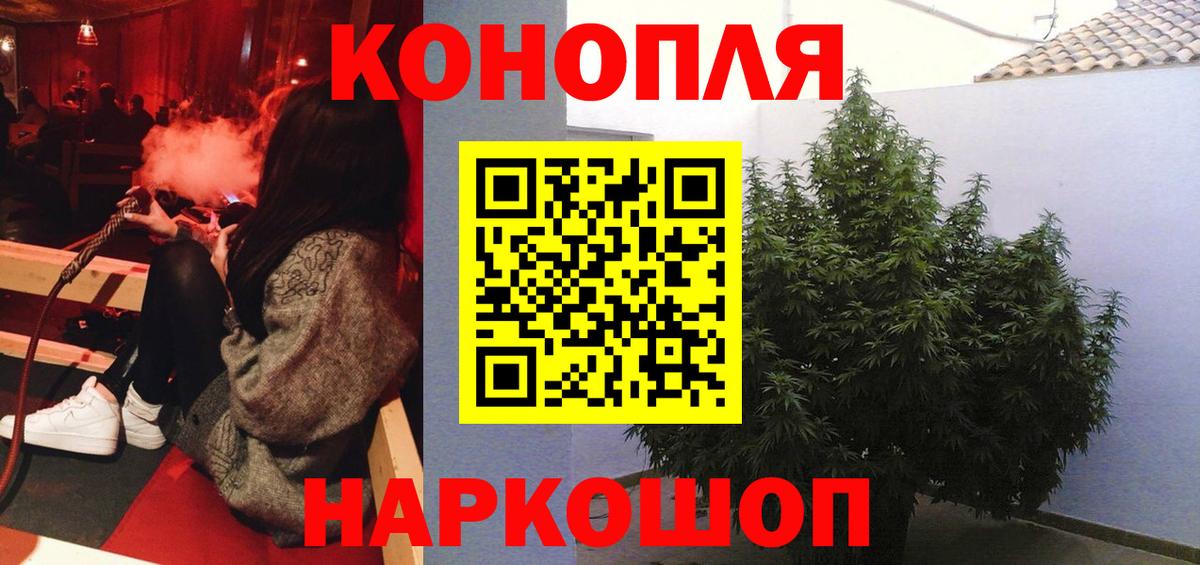 Конопля планчик Борзя